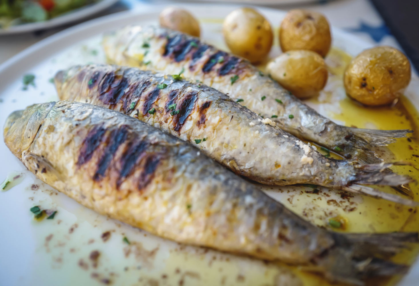 Espetos in Malaga: Discover the Best Grilled Sardines by the Sea